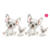 FrenchBulldog set - DS002