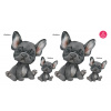 FrenchBulldog set - DS003