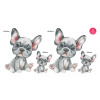 FrenchBulldog set - DS004