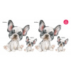 FrenchBulldog set - DS005