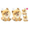 Pomeranian set - DS006