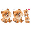 Pomeranian set - DS007