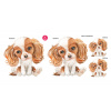 CavalierSpaniel set - DS011