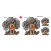 CavalierSpaniel set - DS012