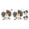 CavalierSpaniel set - DS013