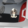 CavalierSpaniel set - DS013