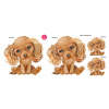 CavalierSpaniel set - DS014