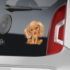 CavalierSpaniel set - DS014