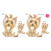 YorkshireTerrier longhaired set - DS015