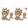 YorkshireTerrier longhaired set - DS017
