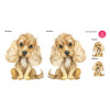 Cocker Spaniel - set 4 barvy