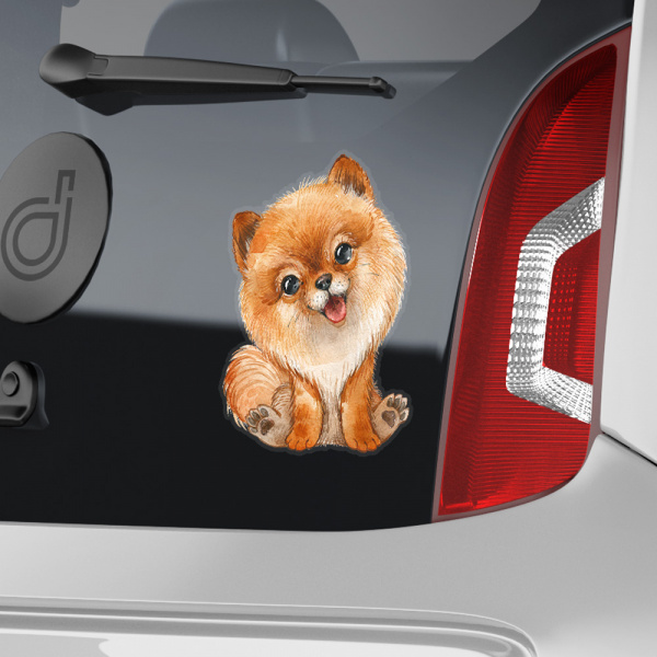 Decoralina - Pomeranian set - DS007