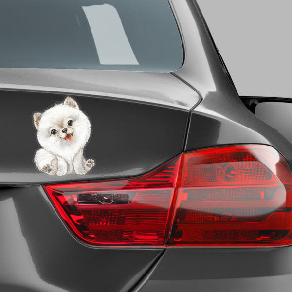 Decoralina - Pomeranian set - DS009