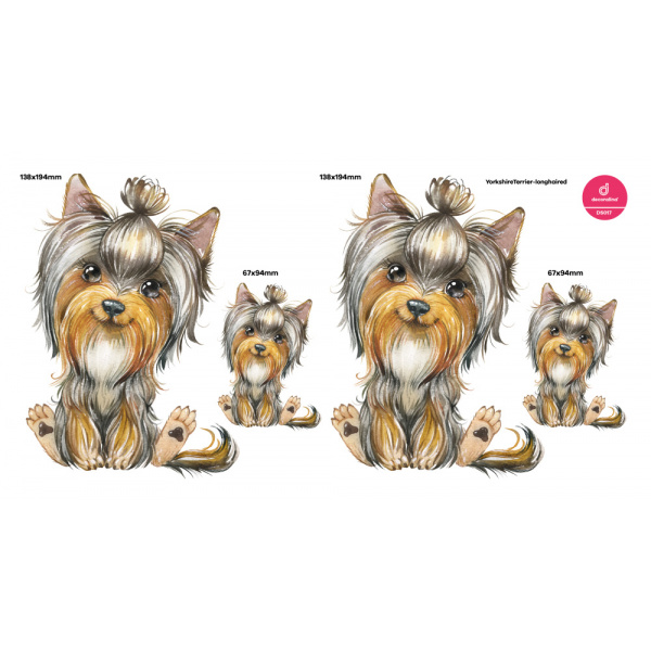 Decoralina - YorkshireTerrier longhaired set - DS017