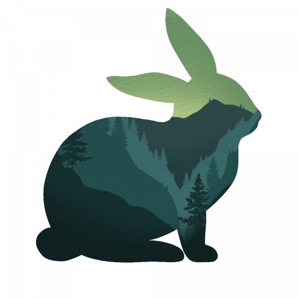 Decoralina - Forest Bunny