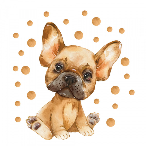 Decoralina - French Bulldog Love - 5 barev