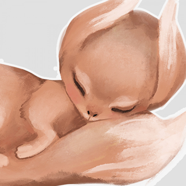 Decoralina - Zvířátka v lese 1