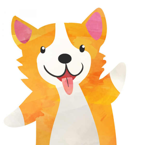 Decoralina - Pejsci a jejich hračky