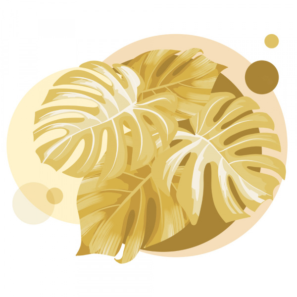 Decoralina - Monstera Mono 1