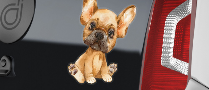 French Bulldog set - 5 variant