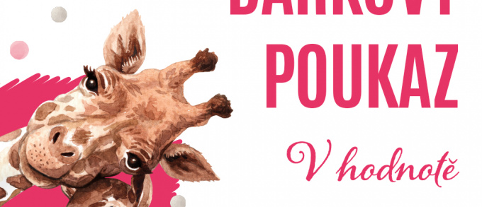 Dárkový poukaz - 500,- Kč